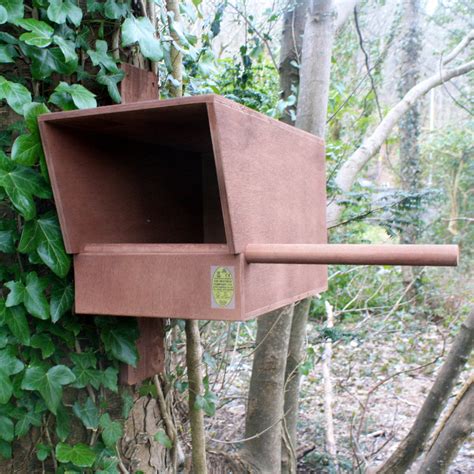 metal macaw nest box|building a kestrel nest box.